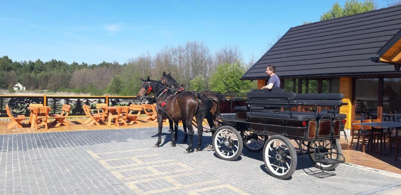 Farm stay Sosnowy Dworek Sabat Imielno (Swietokrzyskie)
